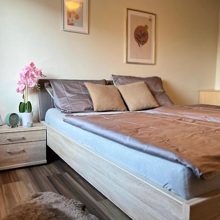 Gemuetliche Wohnung/ Cozy Apartment ניקלאסדורף מראה חיצוני תמונה
