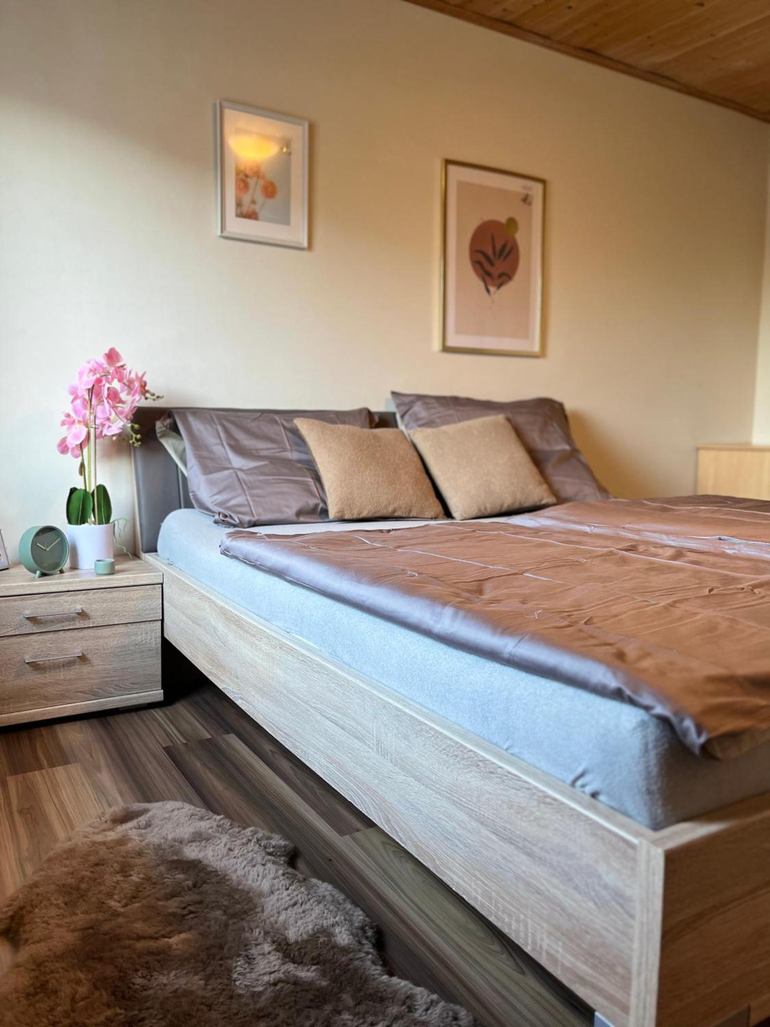 Gemuetliche Wohnung/ Cozy Apartment ניקלאסדורף מראה חיצוני תמונה